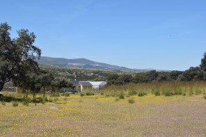 Jardín